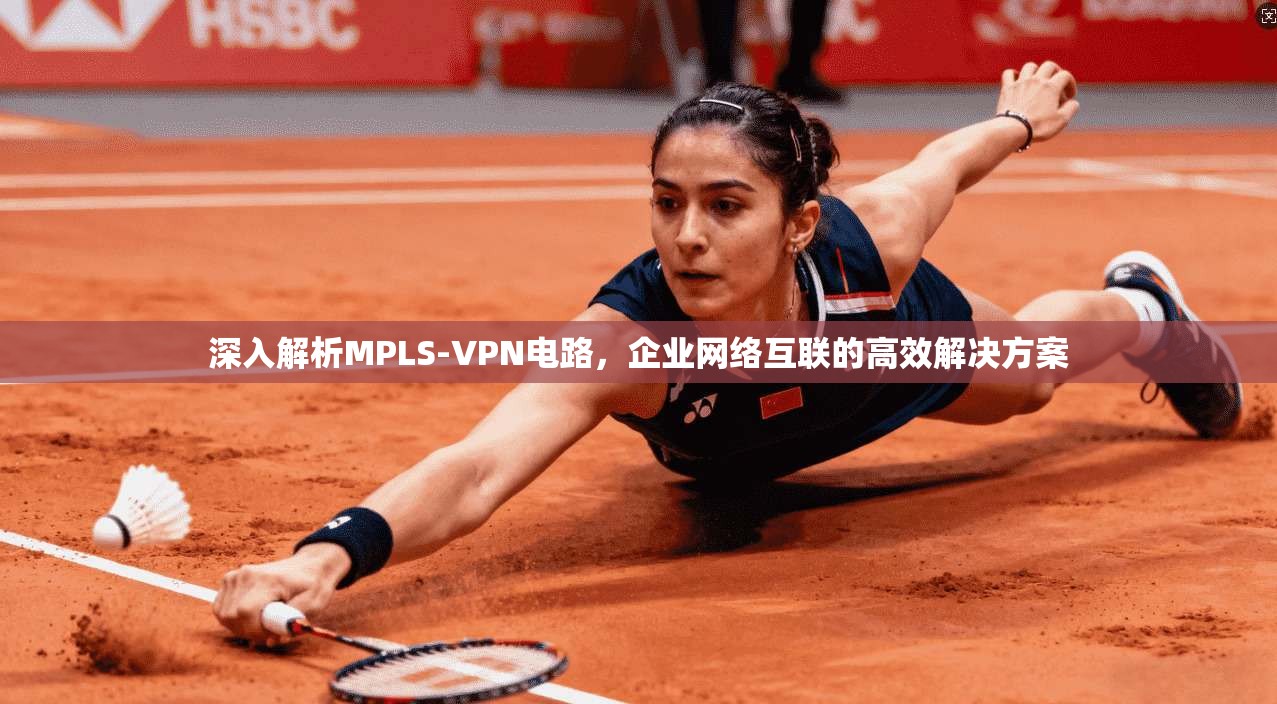 深入解析MPLS-VPN电路,企业网络互联的高效解决方案 第1张 深入解析MPLS-VPN电路,企业网络互联的高效解决方案 第1张
