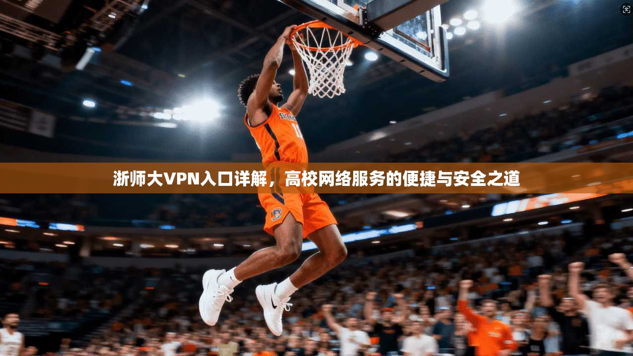 浙师大VPN入口详解，高校网络服务的便捷与安全之道  第1张