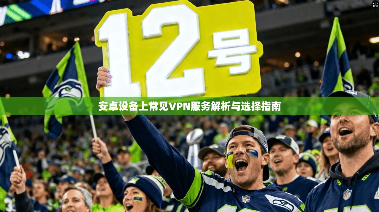 安卓设备上常见VPN服务解析与选择指南 第1张 安卓设备上常见VPN服务解析与选择指南 第1张