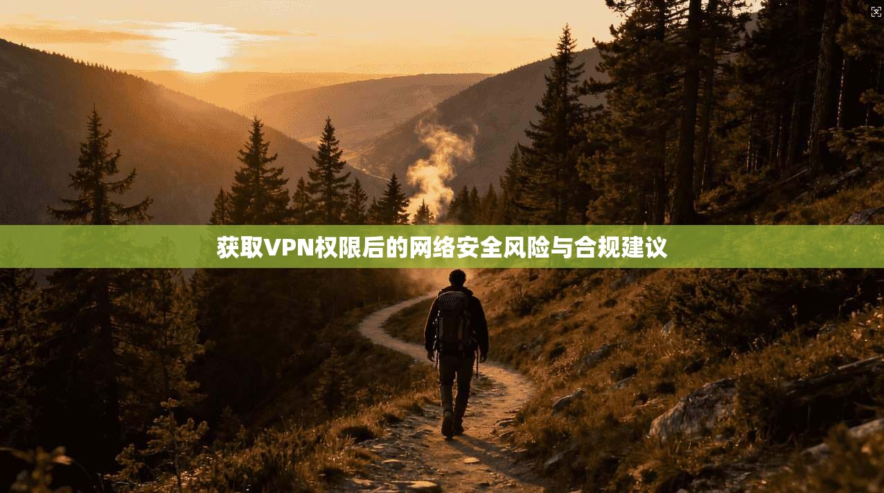 获取VPN权限后的网络安全风险与合规建议 第1张 获取VPN权限后的网络安全风险与合规建议 第1张
