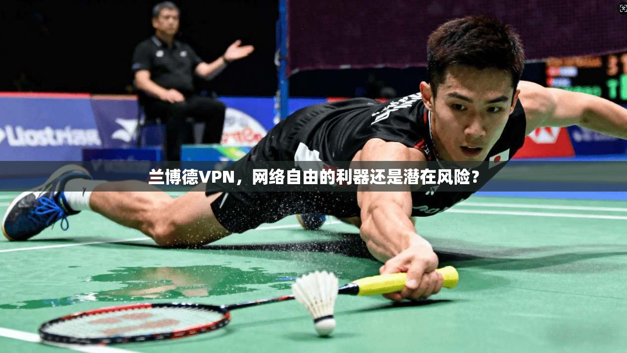 兰博德VPN,网络自由的利器还是潜在风险? 第1张 兰博德VPN,网络自由的利器还是潜在风险? 第1张