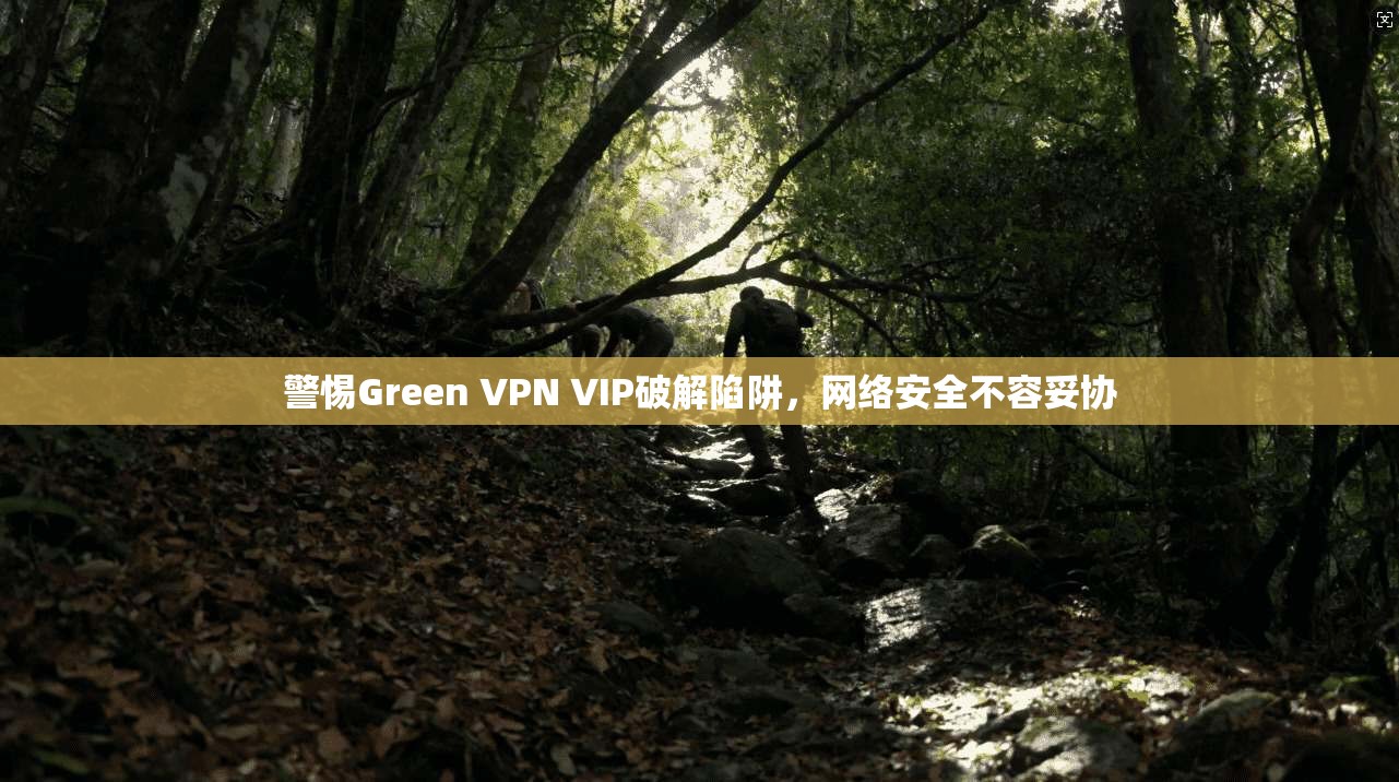 警惕Green VPN VIP破解陷阱,网络安全不容妥协 第1张 警惕Green VPN VIP破解陷阱,网络安全不容妥协 第1张