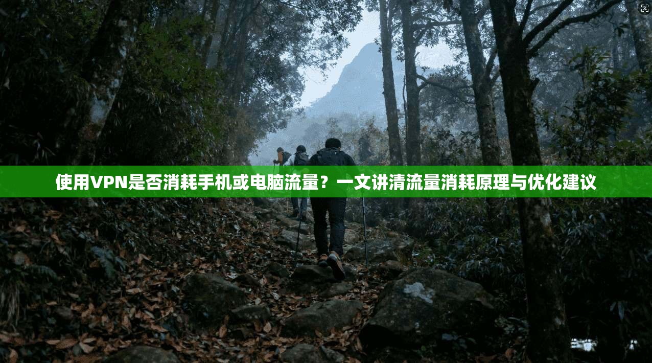 使用VPN是否消耗手机或电脑流量?一文讲清流量消耗原理与优化建议 第1张 使用VPN是否消耗手机或电脑流量?一文讲清流量消耗原理与优化建议 第1张