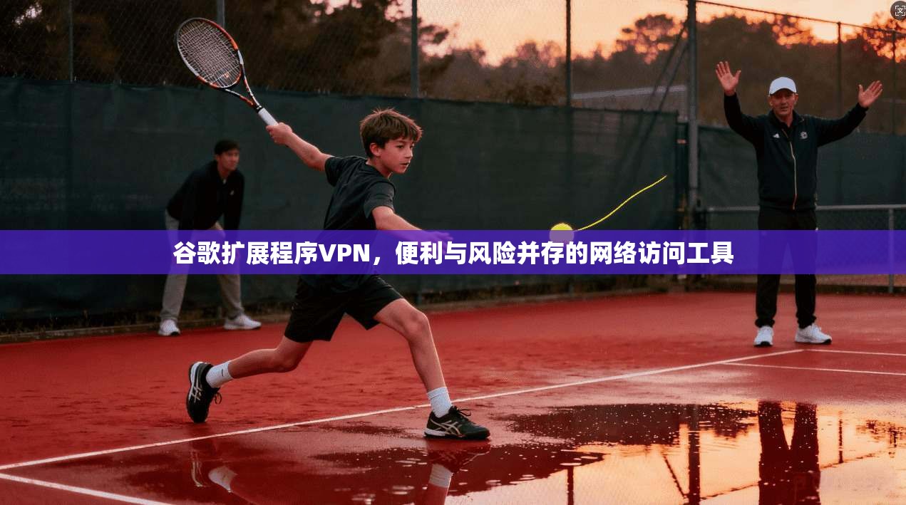 谷歌扩展程序VPN,便利与风险并存的网络访问工具 第1张 谷歌扩展程序VPN,便利与风险并存的网络访问工具 第1张