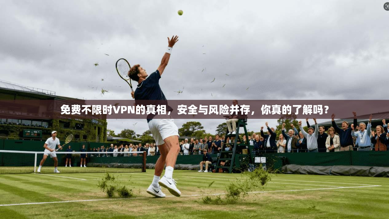 免费不限时VPN的真相,安全与风险并存,你真的了解吗? 第1张 免费不限时VPN的真相,安全与风险并存,你真的了解吗? 第1张