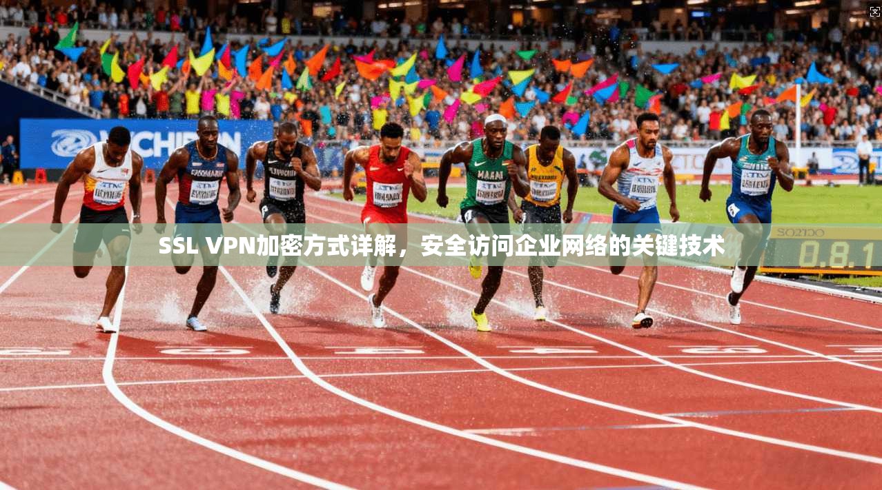 SSL VPN加密方式详解，安全访问企业网络的关键技术  第1张
