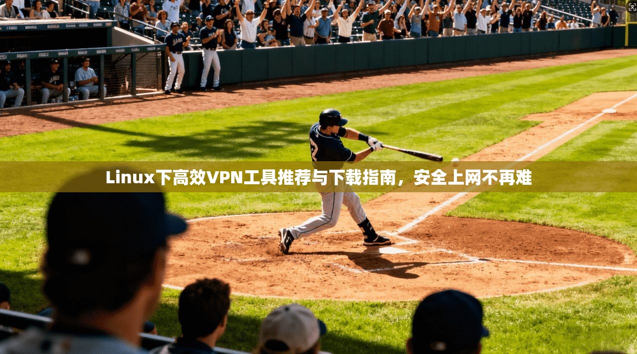 Linux下高效VPN工具推荐与下载指南，安全上网不再难  第1张