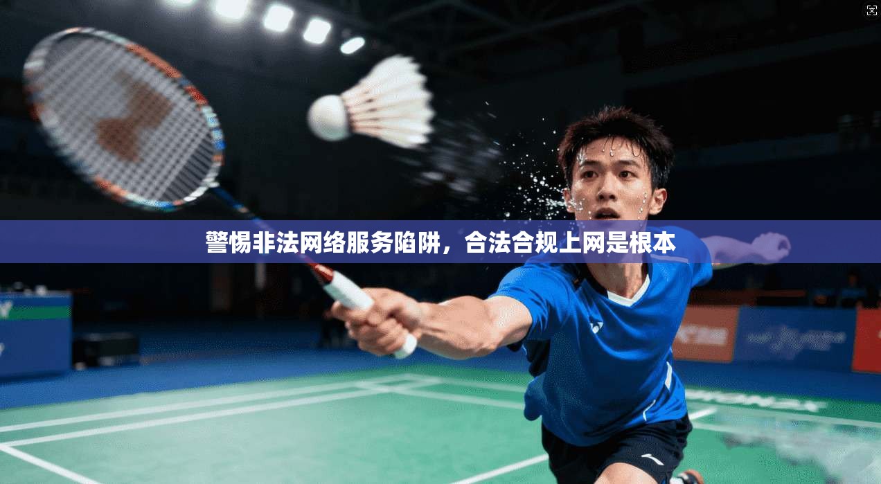 警惕非法网络服务陷阱，合法合规上网是根本  第1张